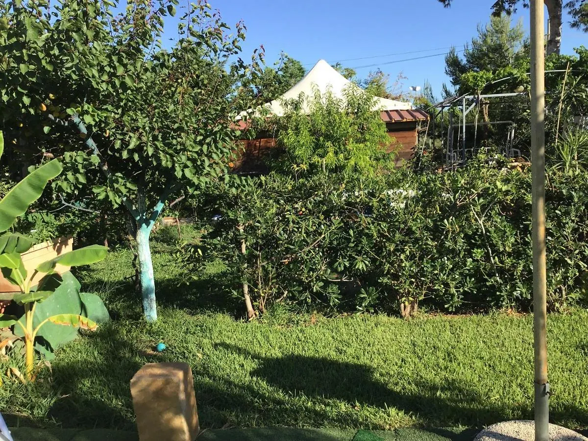 Casa vacanze Villa Rogis Terrasini Italia