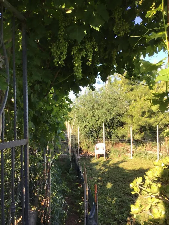 Villa Rogis Terrasini 0*,  Italy
